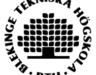 Blekinge Institute of Technology
