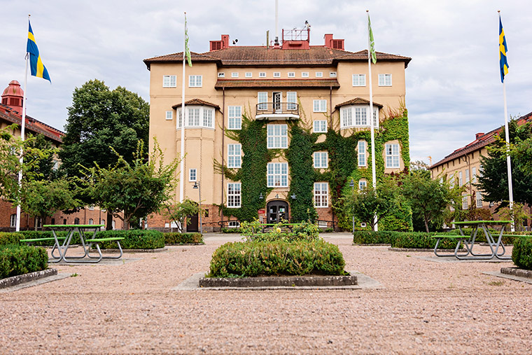 Master of Science in Marketing for Sustainable Business Management