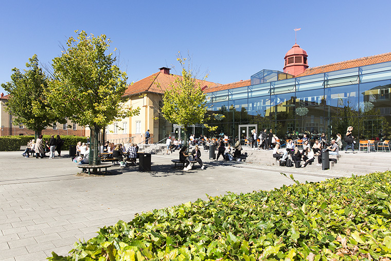 Master of Science in Marketing for Sustainable Business Management