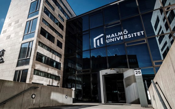 Leadership for Sustainability, Master's Programme (One-Year)