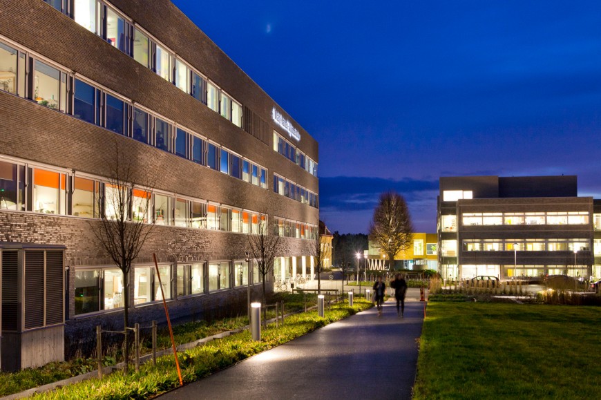 Plant Biology for Sustainable Production, Master's Programme